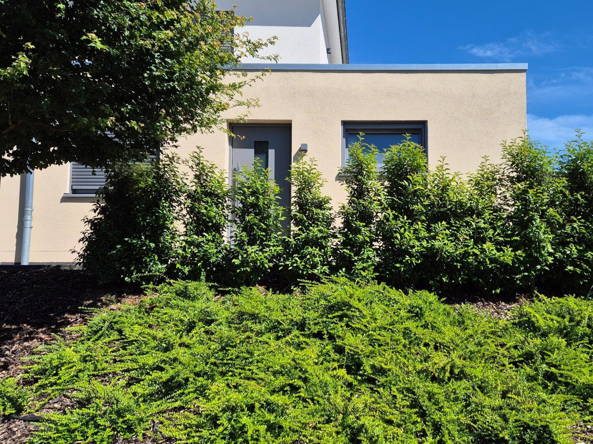 Wine & Hike Apartment Wincheringen Exterior foto